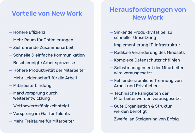 Vor- und Nachteile von New-Werk